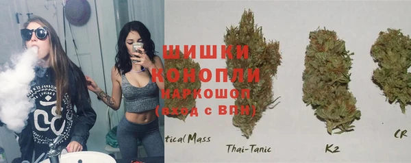 стаф Санкт-Петербург