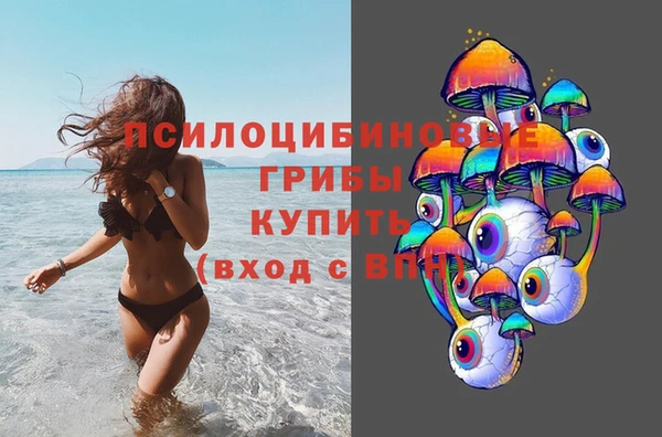 дурь Ессентукская