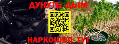 бошки Волгодонск