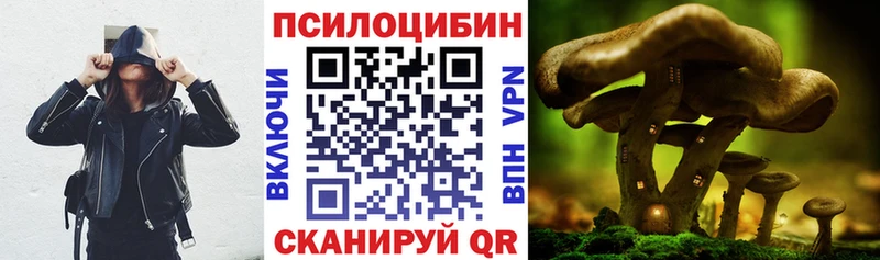 Псилоцибиновые грибы прущие грибы  OMG как зайти  Ангарск  сколько стоит 
