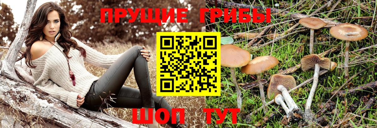 Ангарск  Псилоцибиновые грибы Psilocybe  Галлюциногенные грибы мухоморы  Вход с VPN 